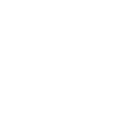 Al Rahman Internationals Logo